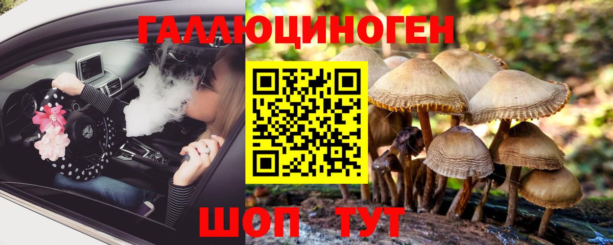 Псилоцибиновые грибы MAGIC MUSHROOMS Петропавловск-Камчатский