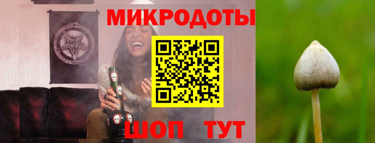 Псилоцибиновые грибы GOLDEN TEACHER  Вход с VPN  дарнет шоп  Петропавловск-Камчатский  Галлюциногенные грибы Cubensis 